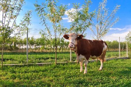 Обучение в рамках общероссийского образовательного проекта «Школа Фермера»