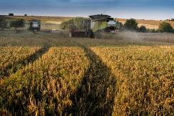 Образовательная программа для ветеранов и участников СВО!!!