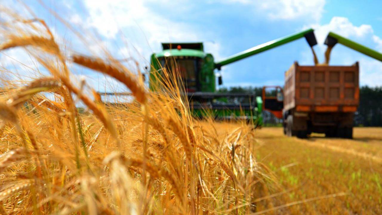 Фонд «Центр компетенций Амурской области» информирует и приглашает  фермеров и других сельхозтоваропроизводителей МФХ